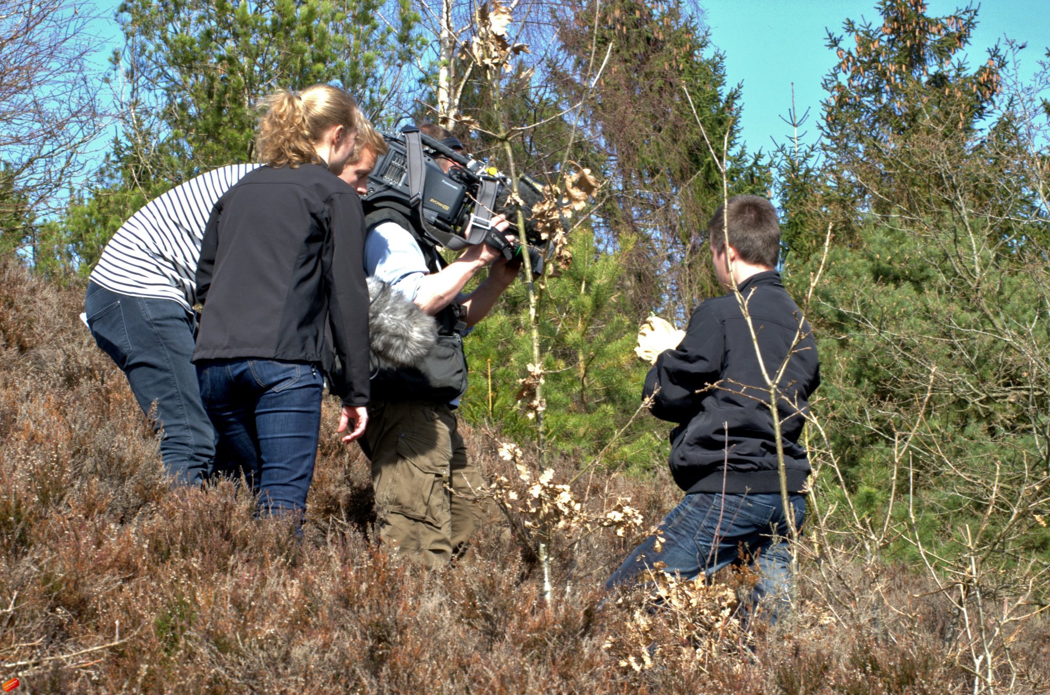 Her indgår jeg i et interview omkring de tidligt aktive krybdyr i foråret 2012 (foretaget af TV2 Nyhederne)