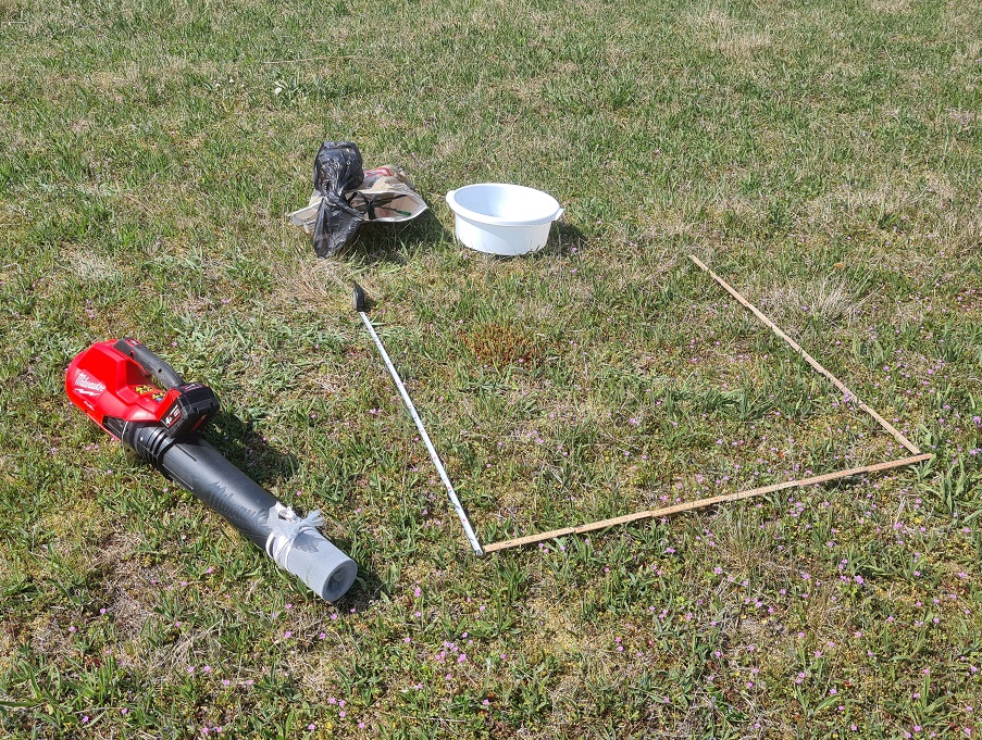 Løvsugning af insekter